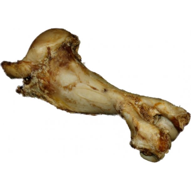 Dino Kødben - Ca. 30 cm.